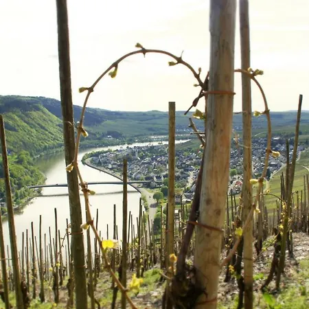 Winzernest Mehring (Rhineland-Palatinate)